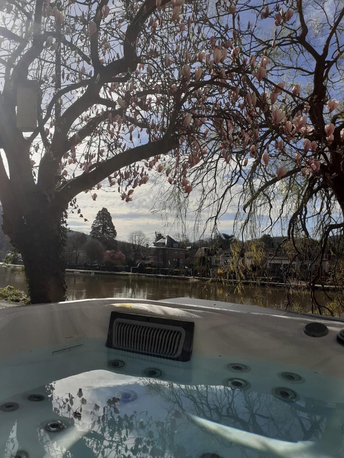 Вилла Pieds Dans L'Eau Private Wellness Bordure De Meuse Люстен Экстерьер фото