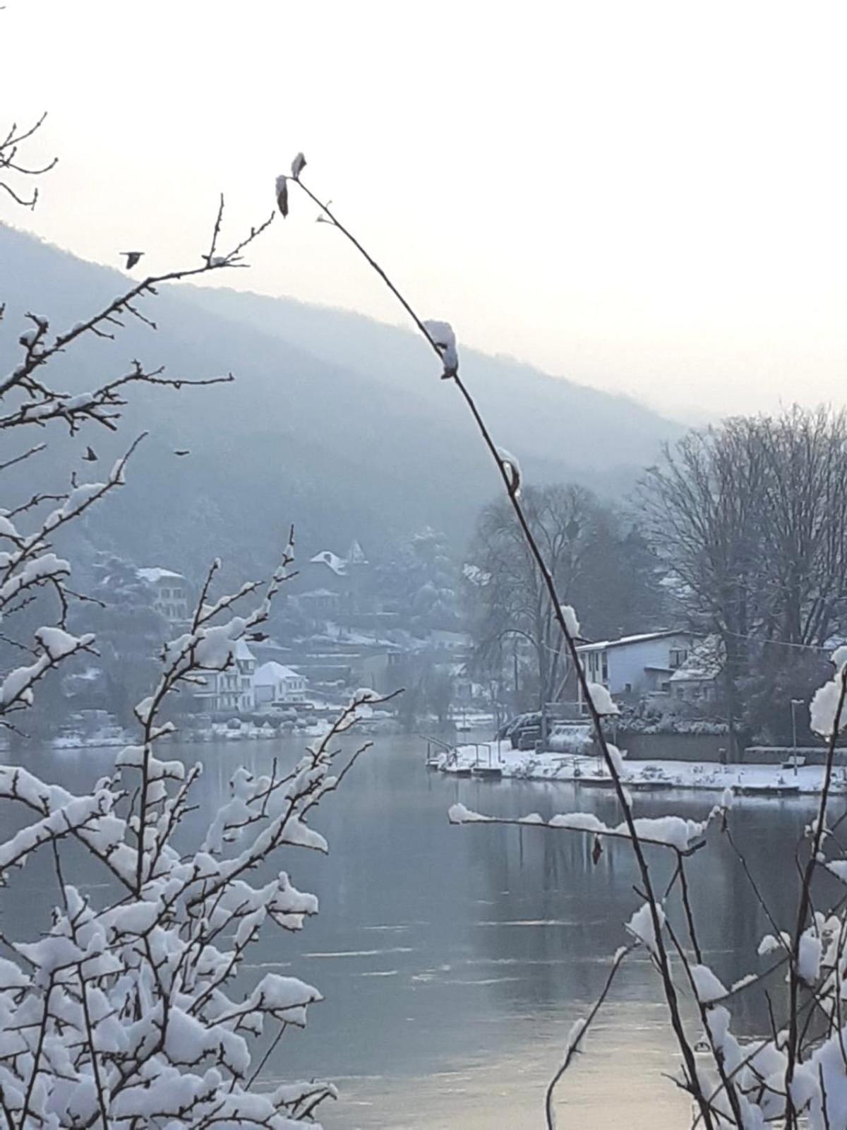 Вилла Pieds Dans L'Eau Private Wellness Bordure De Meuse Люстен Экстерьер фото