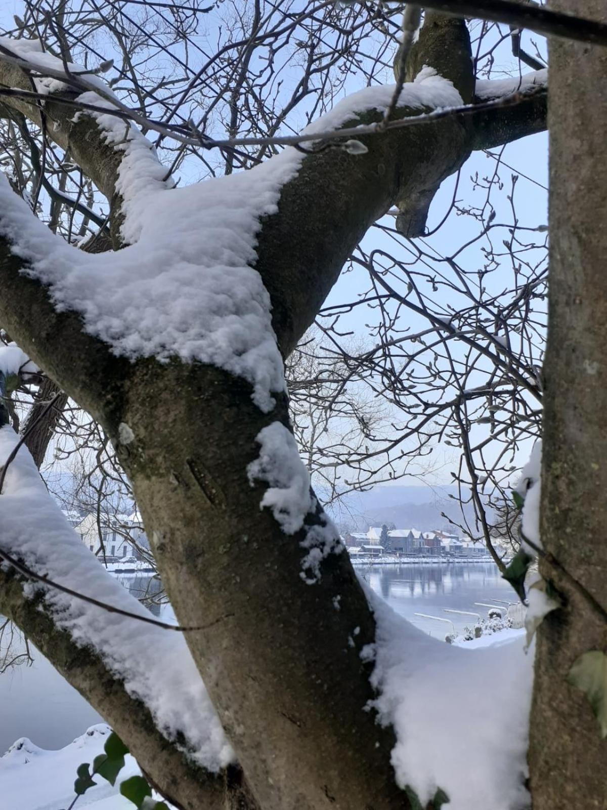 Вилла Pieds Dans L'Eau Private Wellness Bordure De Meuse Люстен Экстерьер фото